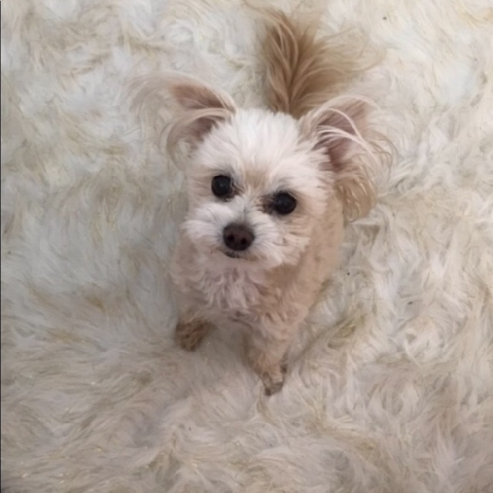 Meet your Posher, Marla